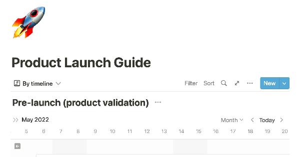 Product launch guide