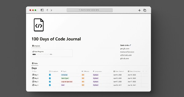 100 day code journal