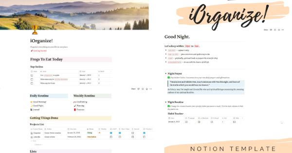 iOrganize