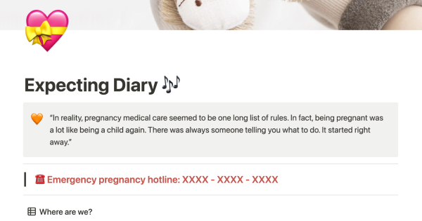 Expecting mother diary
