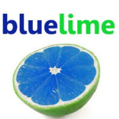Bluelime Learning
