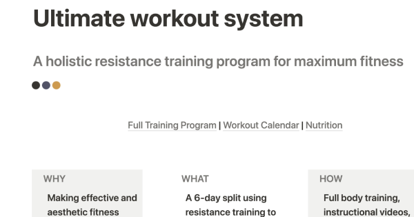 Ultimate workout system